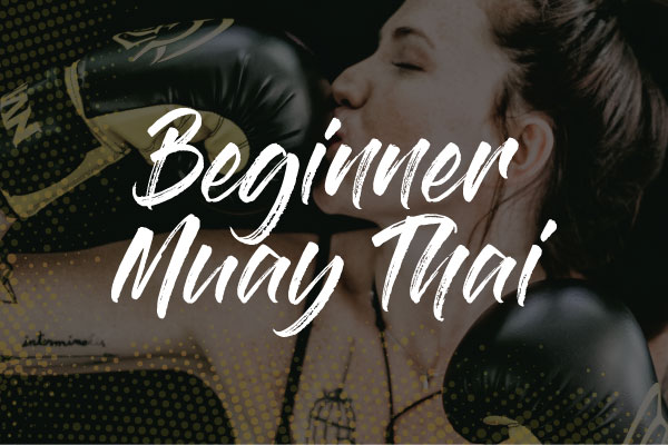 Beginner Muay-Thai / Kickboxing